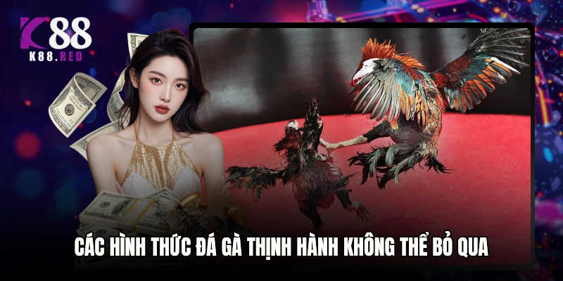 Các hình thức đá gà thịnh hành không thể bỏ qua
