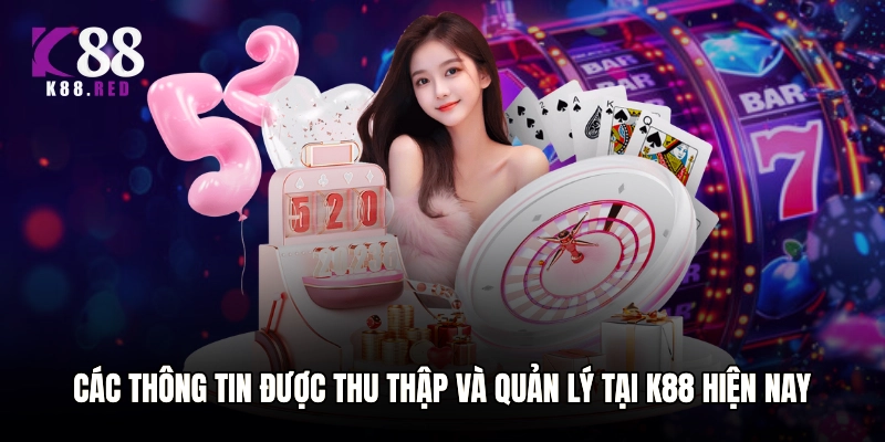 Các thông tin được thu thập và quản lý tại K88 hiện nay