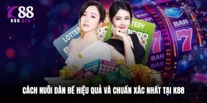 Cách Nuôi Dàn Đề Hiệu Quả Và Chuẩn Xác Nhất Tại K88